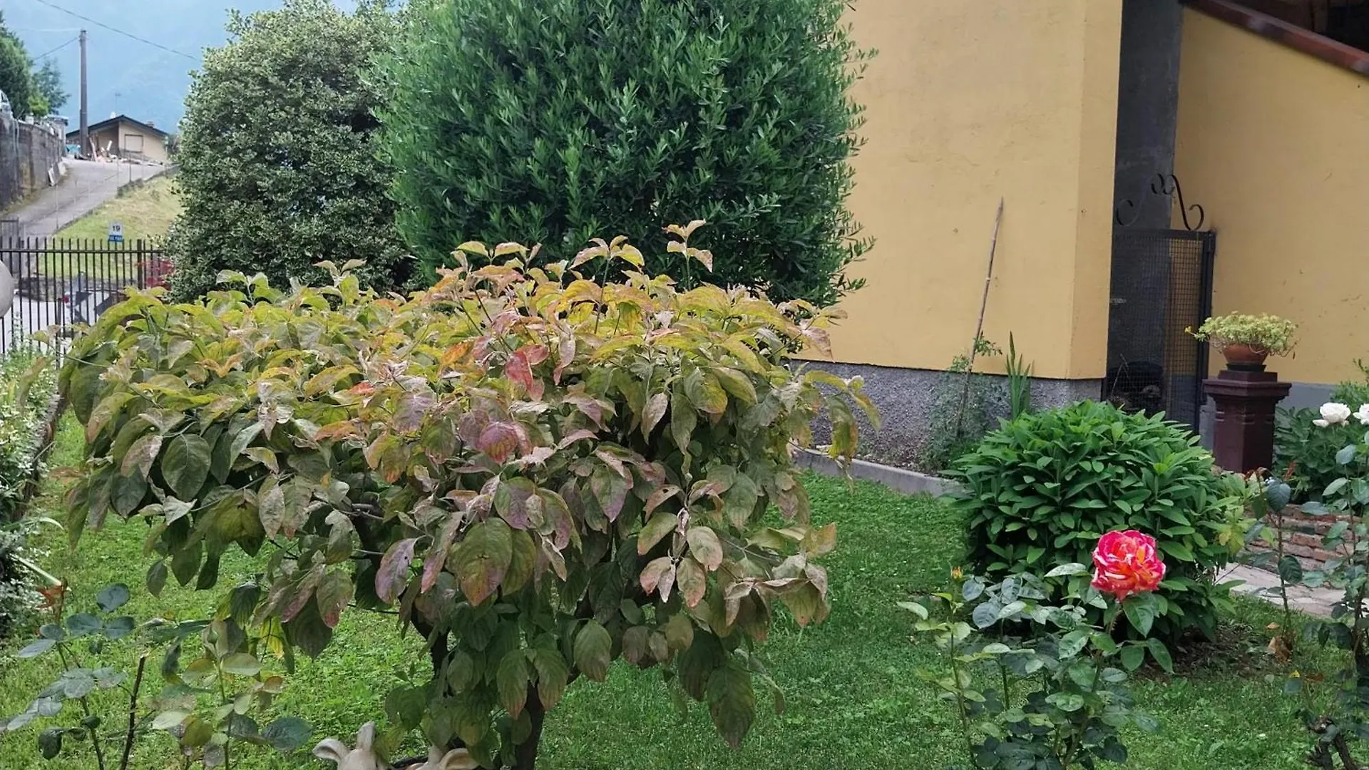 Casa Peppo Διαμέρισμα Lezzeno